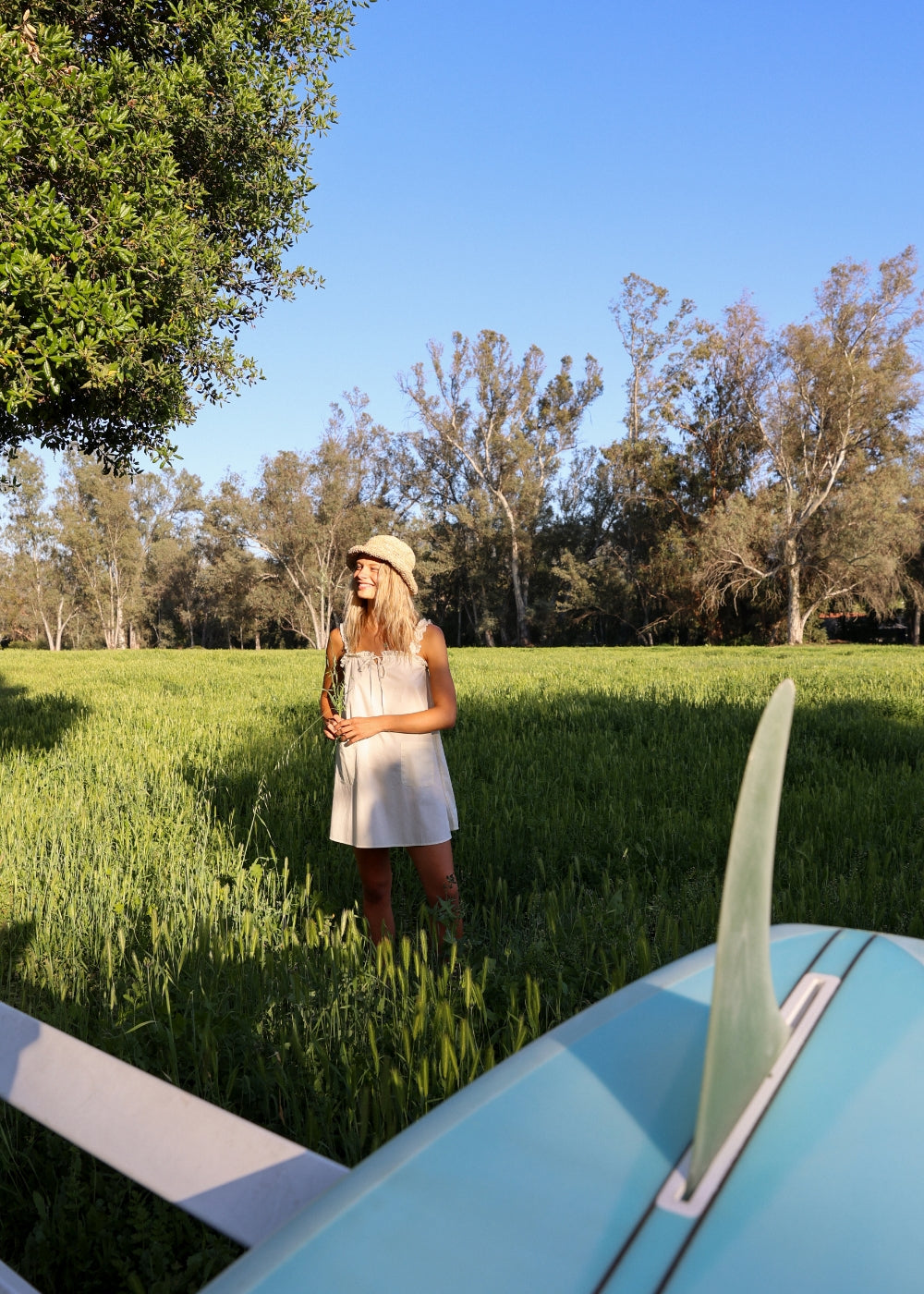 Wishing Well Woven Dress