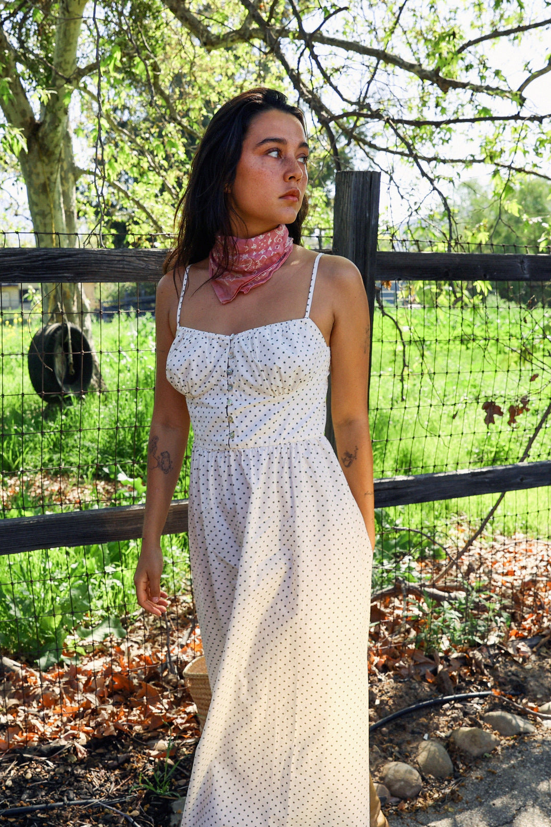 Dot Your Eyes Woven Dress